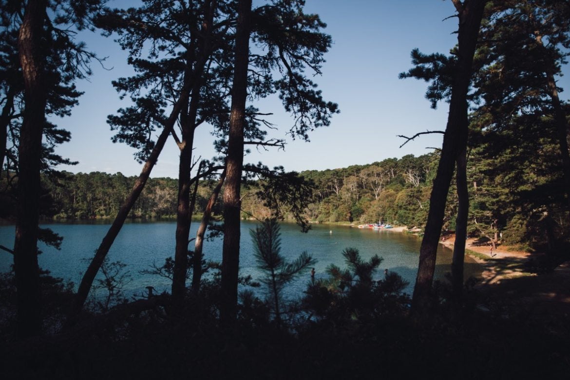 Cape Cod 20080107 IMG 6344