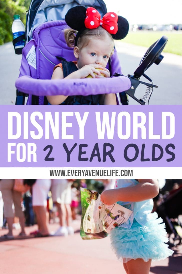 Disney World For 2 Year Olds