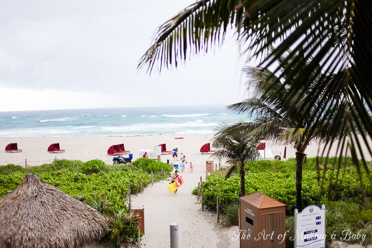 Traveling Around Florida: Palm Beach Ii Traveling Around Florida: Palm Beach Ii