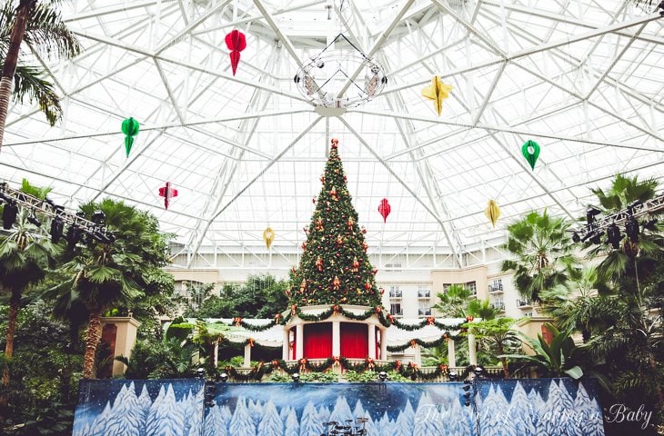 Christmas At Gaylord Palm Hotel And Ice Exhibit